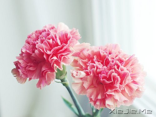 路过青春一阵子，记忆里搁浅一辈子 (1)