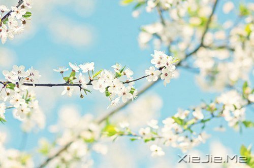 路过青春一阵子，记忆里搁浅一辈子 (2)
