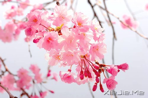 路过青春一阵子，记忆里搁浅一辈子 (8)