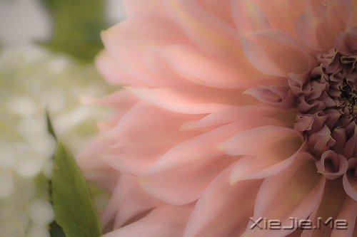路过青春一阵子，记忆里搁浅一辈子 (9)