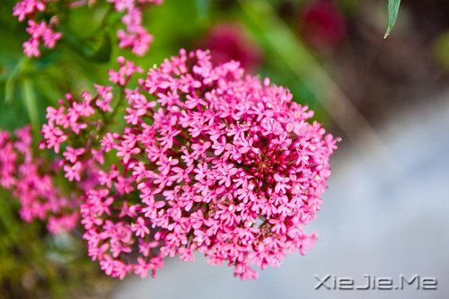 请你善良，无论这世界多冷漠 (1)