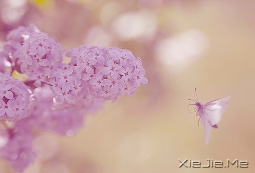 请你善良，无论这世界多冷漠 (3)