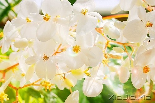 请你善良，无论这世界多冷漠 (6)