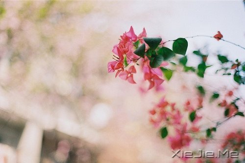 若不是终点，请微笑一直向前 (3)