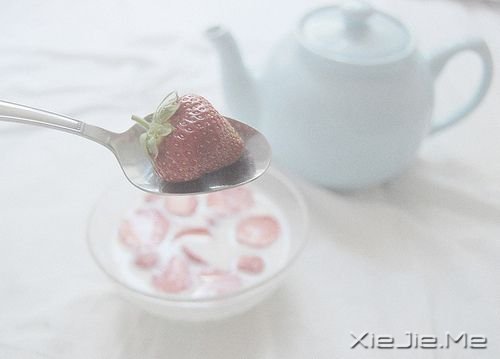 晚安心语：期待，是所有心痛的根源 (4)