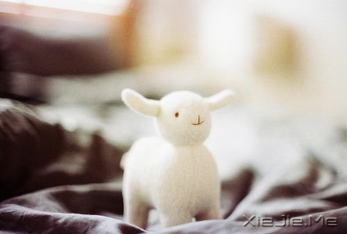 晚安心语：期待，是所有心痛的根源 (8)