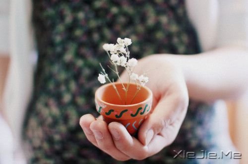 晚安心语：坚持住，扛过去 (8)