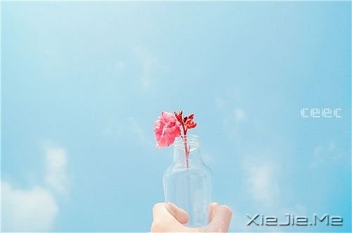 小清新图片 (1)
