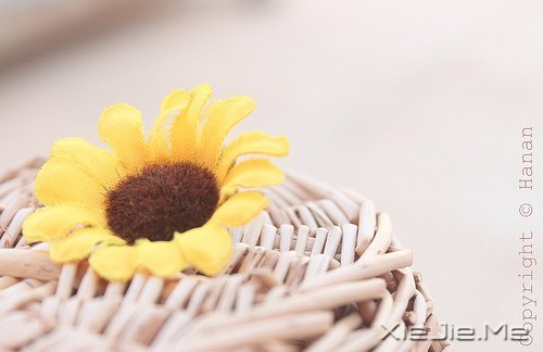 人生感悟：一位老人的九句话 (1)
