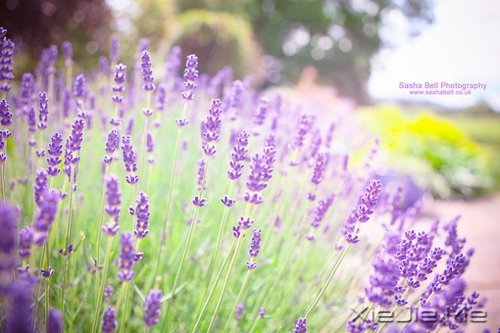 人生感悟：一位老人的九句话 (2)