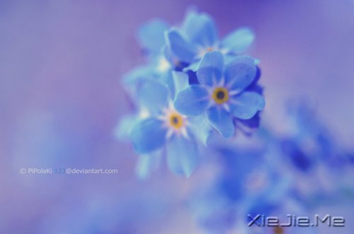 人生感悟：一位老人的九句话 (3)