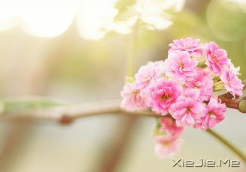 人生感悟：一位老人的九句话 (9)