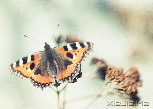 让我们慢慢过去，不必心急