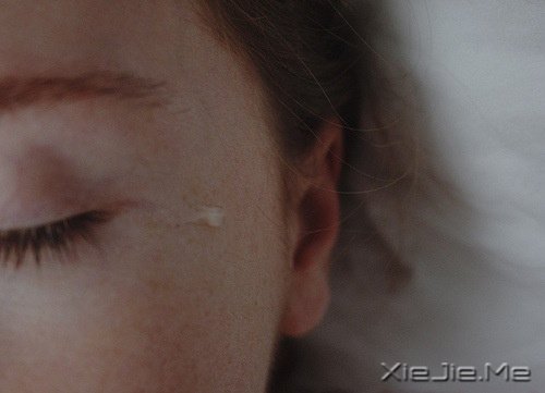 适当的放弃，是人生优雅的转身 (5)